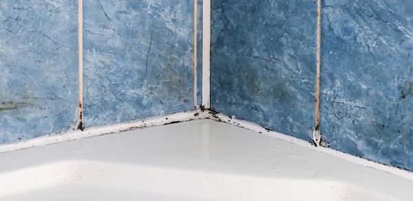 mould on blue bathroom tiles